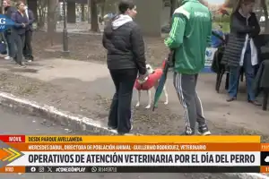 En el Día del Perro, en San Miguel de Tucumán se reforzó la atención veterinaria gratuita con castraciones, vacunación y controles