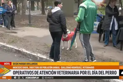 En el Día del Perro, en San Miguel de Tucumán se reforzó la atención veterinaria gratuita con castraciones, vacunación y controles