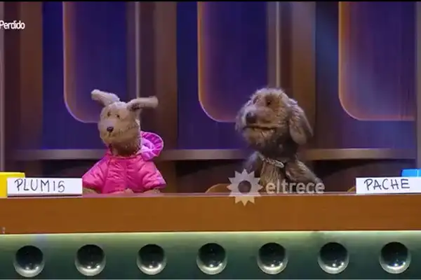 Pache y Plumi, los primeros perros streamers de Argentina que condujeron con Pergolini