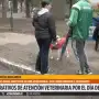 En el Día del Perro, en San Miguel de Tucumán se reforzó la atención veterinaria gratuita con castraciones, vacunación y controles