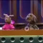 Pache y Plumi, los primeros perros streamers de Argentina que condujeron con Pergolini