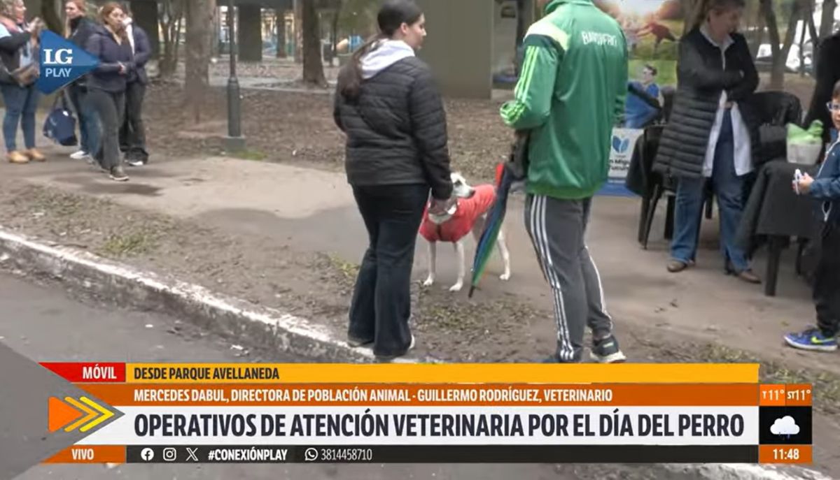 En el Día del Perro, en San Miguel de Tucumán se reforzó la atención veterinaria gratuita con castraciones, vacunaci