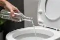 El truco del vinagre blanco en el inodoro que se volvió viral y tiene explicación científica