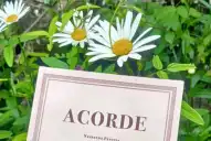 Nazarena Pereyra presenta el libro “Acorde” en la Casa de la Ciudad