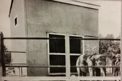 Recuerdos fotográficos: 1905-1930. Así era el zoo en la zona del parque Avellaneda