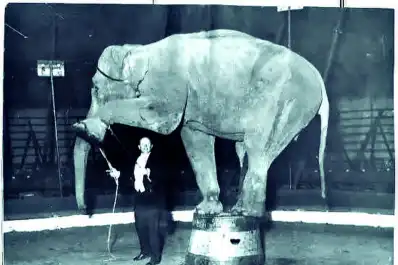 Recuerdos fotográficos: 1905-1930. Así era el zoo en la zona del parque Avellaneda