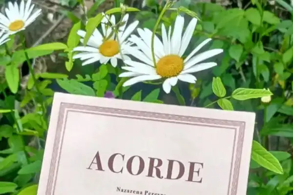 Nazarena Pereyra presenta el libro “Acorde” en la Casa de la Ciudad