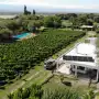 Estuvo 30 años en el Ejército de Estados Unidos hasta que volvió a Tucumán para tener su propio vino