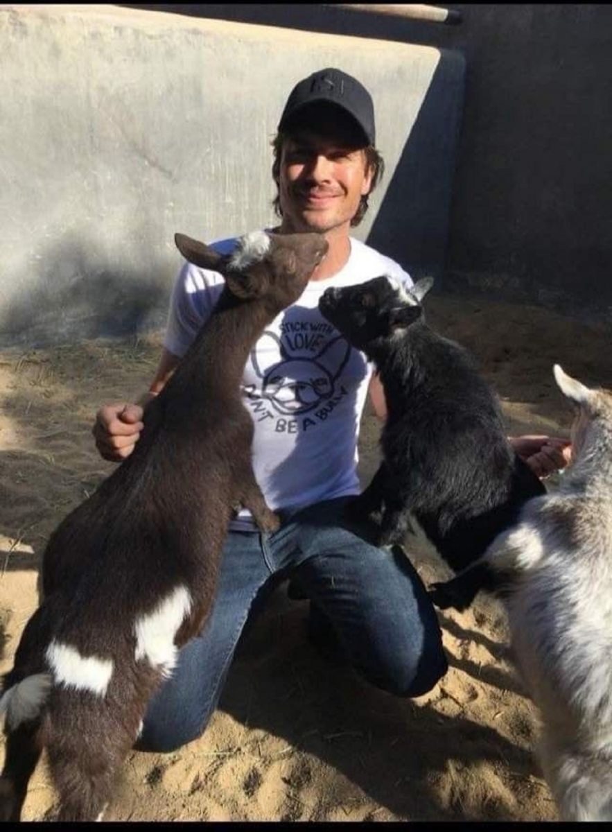 Ian Somerhalder: el actor que cambió Hollywood y eligió una vida en el campo