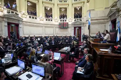 La Casa Rosada insiste con quitar las PASO, pero confronta con el Senado