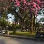 ¿Cuándo empieza la primavera 2026 en Argentina? La fecha y hora exacta según la astronomía