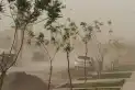 Alerta roja y amarilla para 16 provincias: hay riesgo por viento Zonda, nevadas, tormentas y frío extremo en el país