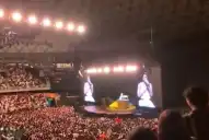 Abucheos y silbidos: la reacción de Rosalía al ver la bandera argentina que indignó a sus fanáticos en pleno show