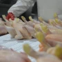 La Unión Europea reabre su mercado a la carne aviar argentina desde el 17 de agosto