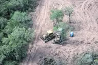 Desaparecieron más de 40.000 hectáreas de bosque nativo en el norte argentino