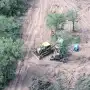 Desaparecieron más de 40.000 hectáreas de bosque nativo en el norte argentino