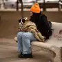 Tras un sábado agradable, Tucumán se prepara para un domingo muy frío: la mínima podría bajar hasta los 3°