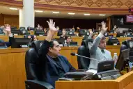 Emergencias, control de leyes y actualización normativa: los principales proyectos que aprobó la Legislatura