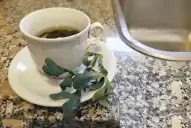 Té de ruda: el Minsiterio de Salud de Tucumán informó quiénes deberian evitar su consumo