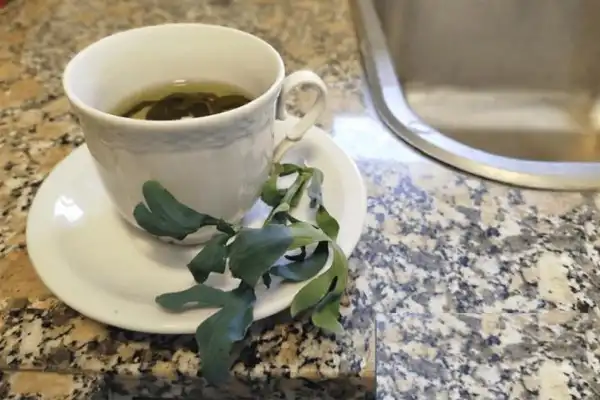 Té de ruda: el Minsiterio de Salud de Tucumán informó quiénes deberian evitar su consumo