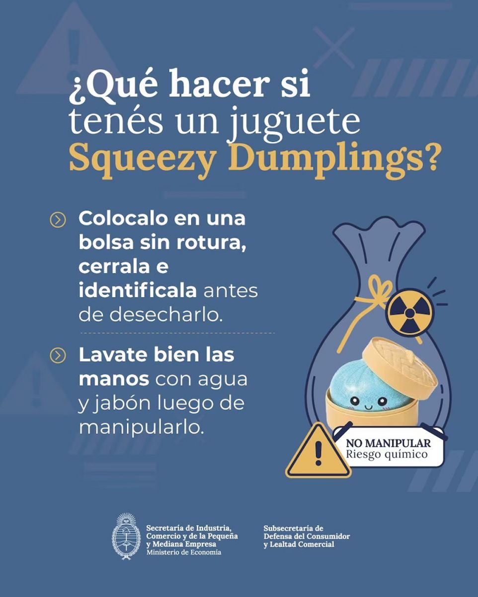 Los consejos del Gobierno para descartar de forma segura los juguetes Squeezy Dumpling. (Subsecretaría de Defensa del Consumidor)