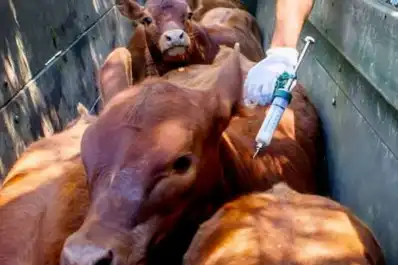 El Senasa solicita a productores que actualicen datos del Renspa