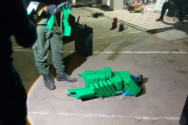 Operativos en el NOA: decomisaron casi 600 kilos de cocaína en tres días