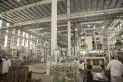 ¿Qué pasa con las zafras y cuáles son las negociaciones para apuntalar la economía?