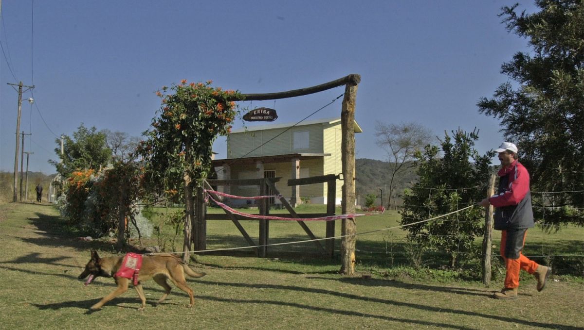 EN PLENA BÚSQUEDA. Un socorrista con un perro entrenado recorren la puerta de la vivienda de las ex novicias en El Cadillal.