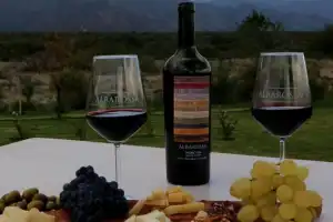 “Tucumán no produce solo limón”: la mirada de un italiano sobre el vino local