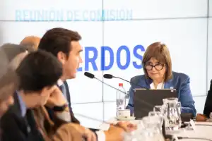 LLA modifica la Ley de Tierras: propone elevar al 25% el límite para compras de extranjeros y busca aprobarla el jueves