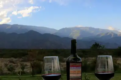 “Tucumán no produce solo limón”: la mirada de un italiano sobre el vino local