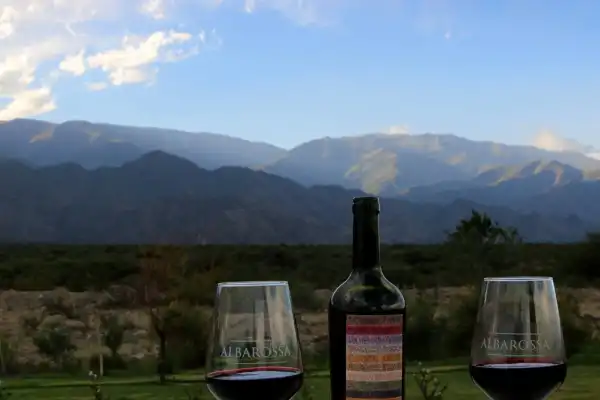 “Tucumán no produce solo limón”: la mirada de un italiano sobre el vino local