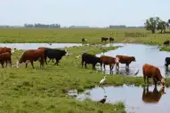 Un fenómeno meteorológico extremo golpeará a la Argentina con lluvias torrenciales y temperaturas atípicas