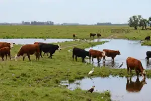 El este de Tucumán fue la zona más lluviosa: Burruyacu alcanzó los 17 milímetros