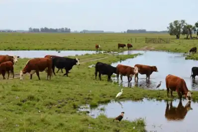 El este de Tucumán fue la zona más lluviosa: Burruyacu alcanzó los 17 milímetros