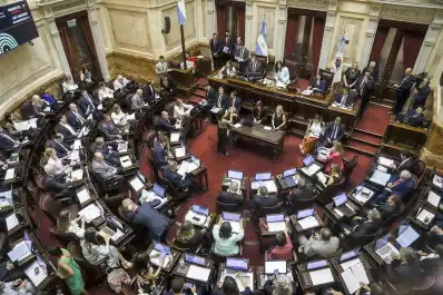 Ley de tierras: uno por uno, los principales cambios que debatirá el Senado