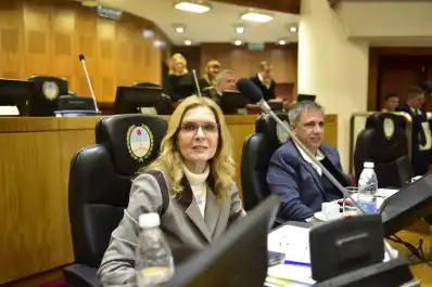 Elías de Pérez reclamó explicaciones por el accidente que sufrió un niño al caer en una boca de tormenta