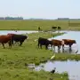 El este de Tucumán fue la zona más lluviosa: Burruyacu alcanzó los 17 milímetros