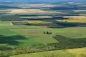 Las consecuencias de derogar la Ley de Tierras en Argentina: las advertencias de un especialista y el caso de Tucumán