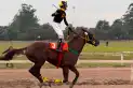 El hipódromo tucumano festejará su aniversario con un clásico de gran nivel
