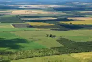 Las consecuencias de derogar la Ley de Tierras en Argentina: las advertencias de un especialista y el caso de Tucumán