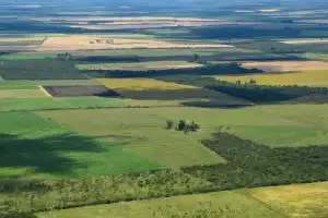 Las consecuencias de derogar la Ley de Tierras en Argentina: las advertencias de un especialista y el caso de Tucumán