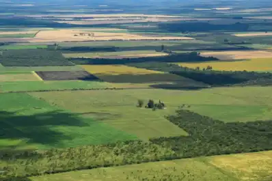 Las consecuencias de derogar la Ley de Tierras en Argentina: las advertencias de un especialista y el caso de Tucumán
