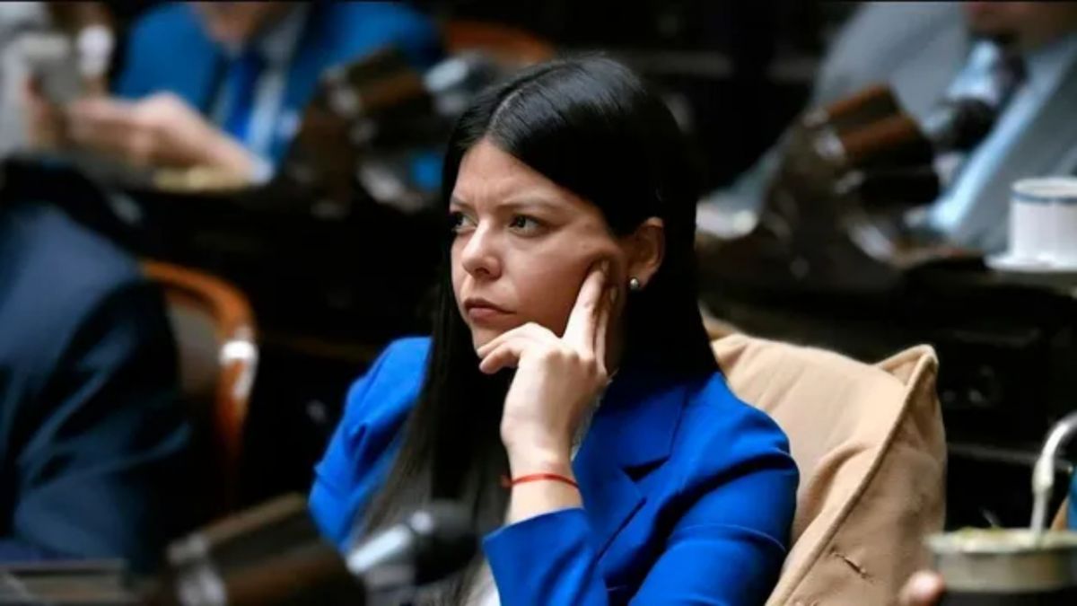 Extranjerización y recursos en juego: el mapa crítico que enfrenta Salta ante el debate de la Ley de Tierras en el Senado