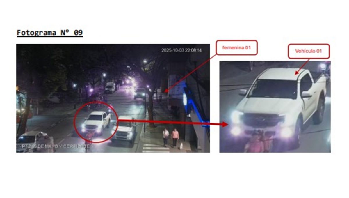 PRUEBA. Un análisis de la Policía sirvió para demostrar cómo fue el ataque de la mujer en plena calle de Barrio Norte.