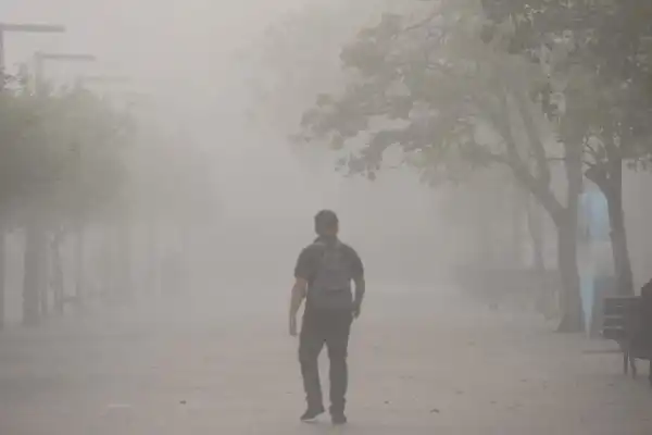 La niebla otra vez cubrió la mañana tucumana antes del ingreso de un frente frío
