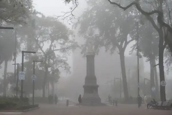 Reportaje fotográfico: el paisaje se borró tras la niebla y el viento zonda