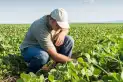 El valor de los profesionales agropecuarios