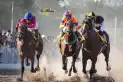 Mock Joy afrontará un duro desafío en el clásico del turf local